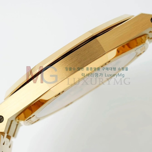 �������ǰ� �ξ��ũ ���ν�Ƽ�� AP15202-4