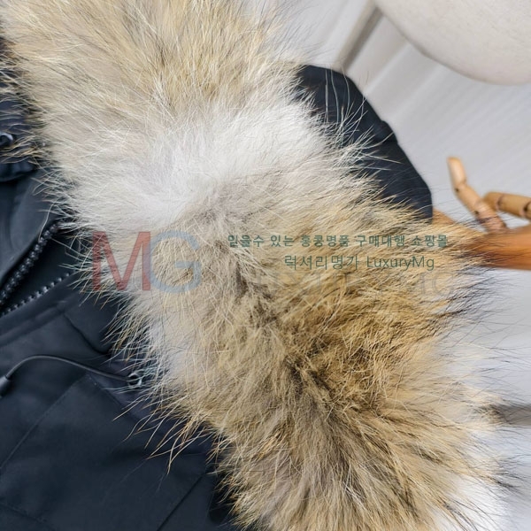 ���� ĳ���ٱ��� �ٿ� �е� GAN23402-1