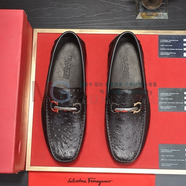 ���� �䷹���� ĳ�־� ���� FO251115